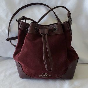 Coach Baby Mickie Crossbody/Shoulder Bag F36217